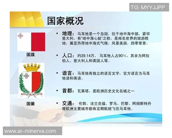 马耳他与西班牙的精彩对决分析及比赛编号解读